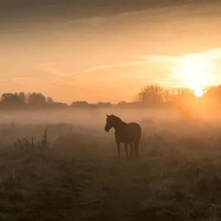 Warempel Hotel Valkenburg aan de Geul