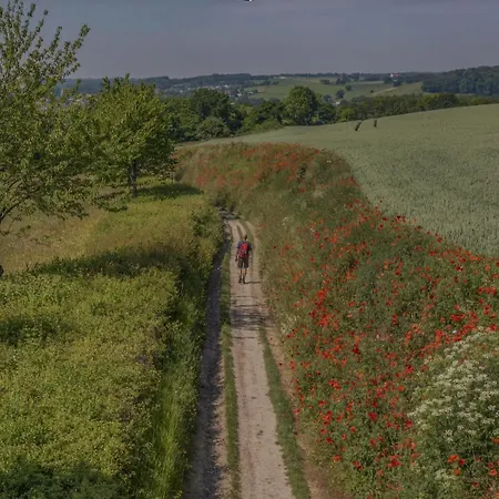 Szálloda Warempel 3*