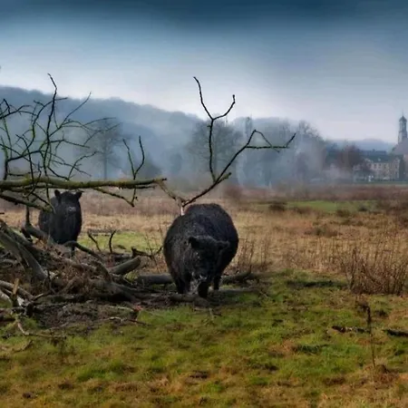 Warempel Hotel Valkenburg aan de Geul