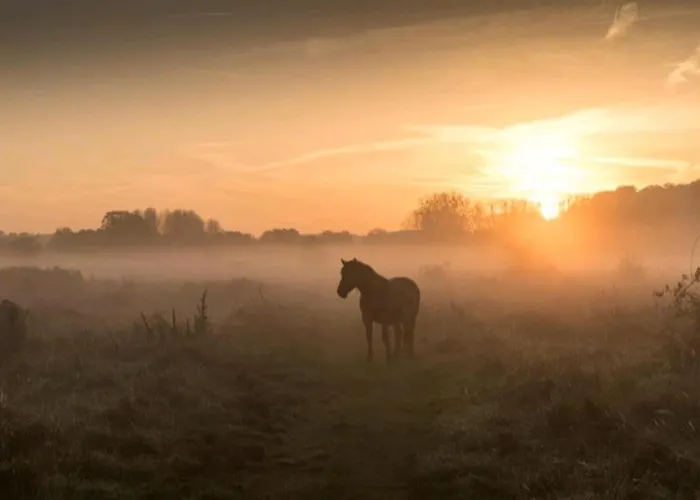 Warempel Отель Валкенбург
