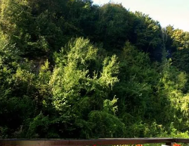 Warempel 호텔 팔켄뷔르흐안더횔