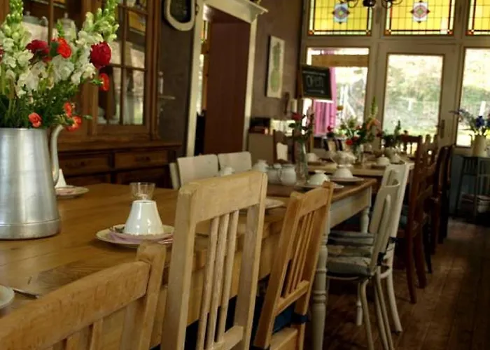 Отель Warempel 3*