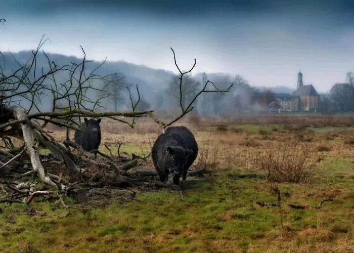 Warempel فندق Valkenburg aan de Geul